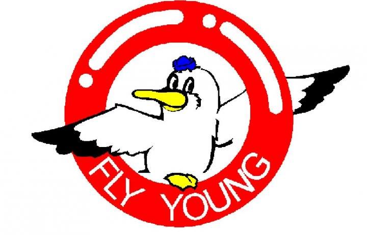 Fly Young Youth Development | 飛颺青少年成長中心